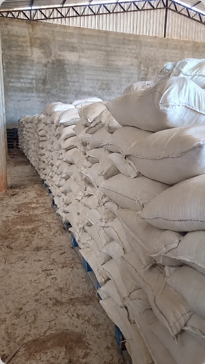 Sacos de gesso agrícola paletizados no galpão