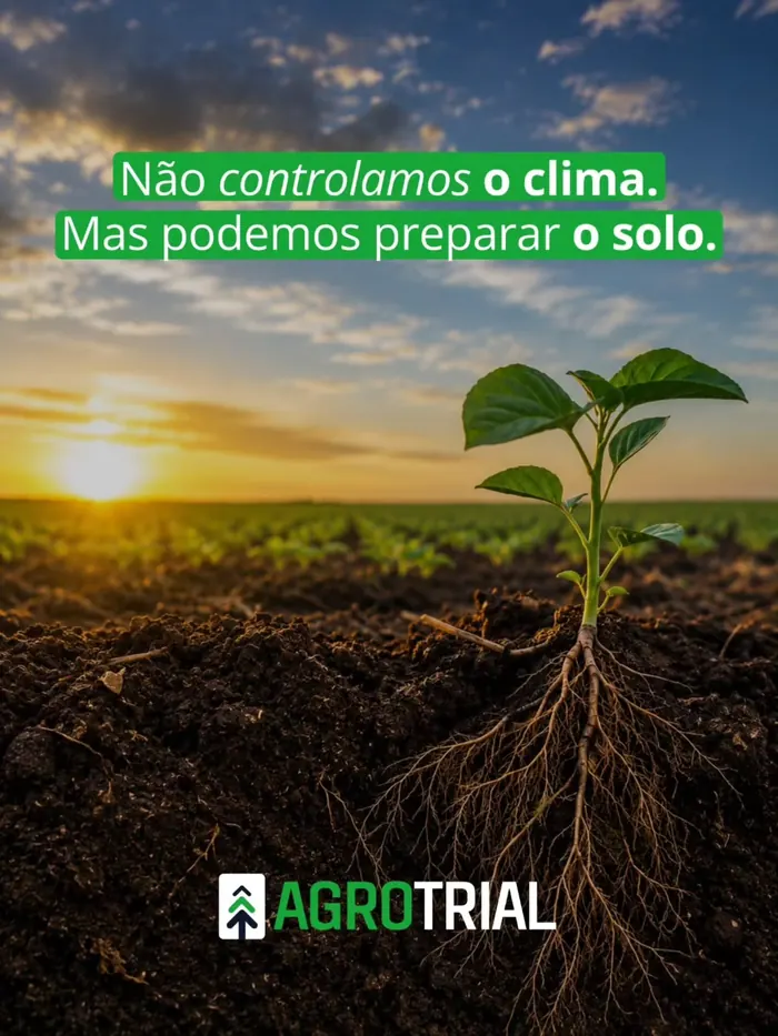Preparo de solo antes da safra